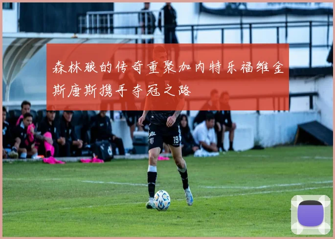 森林狼的传奇重聚加内特乐福维金斯唐斯携手夺冠之路